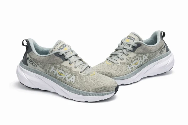 شاهين هوكا مشكي طوسي